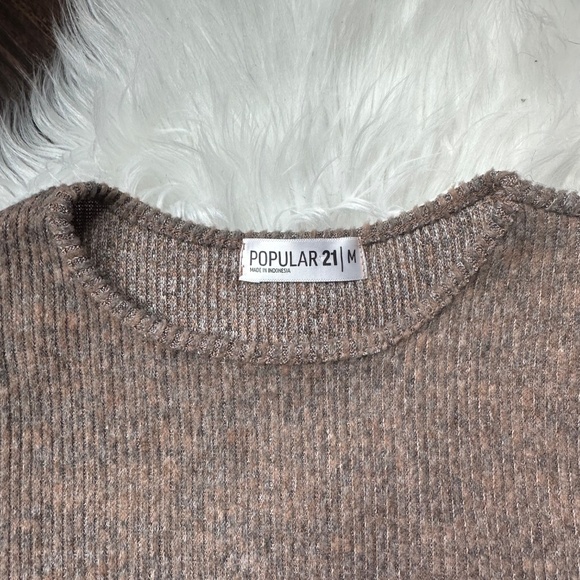 Forever 21 • Cozy Ribbed Crop Sweater Tee • Mocha • Medium - Picture 3 of 5